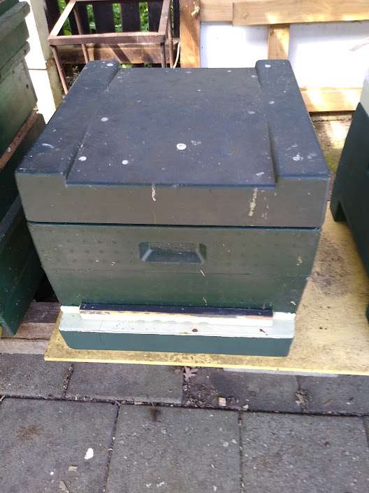 2022 een fantastisch bijenjaar